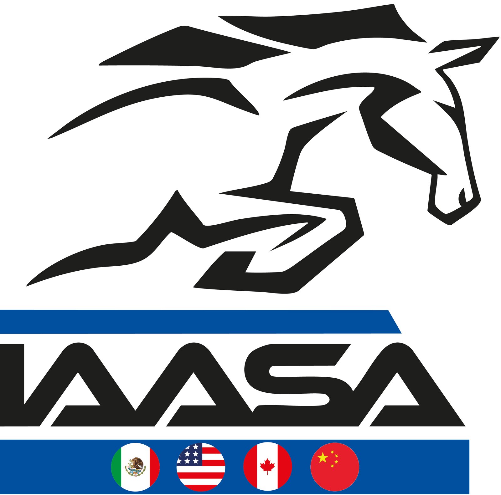 Logo IAASA